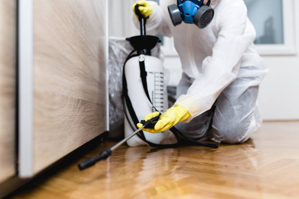 Professional Pest Control in Sterling, CO