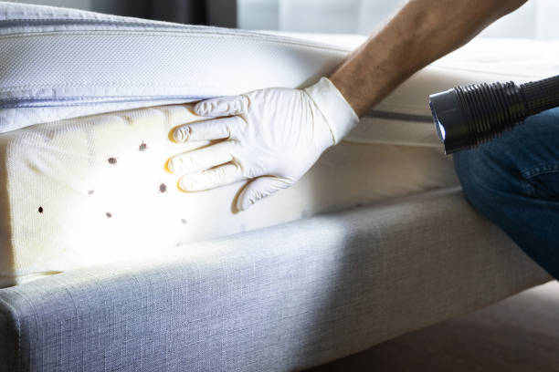 Pest Control Cost in Sterling, CO