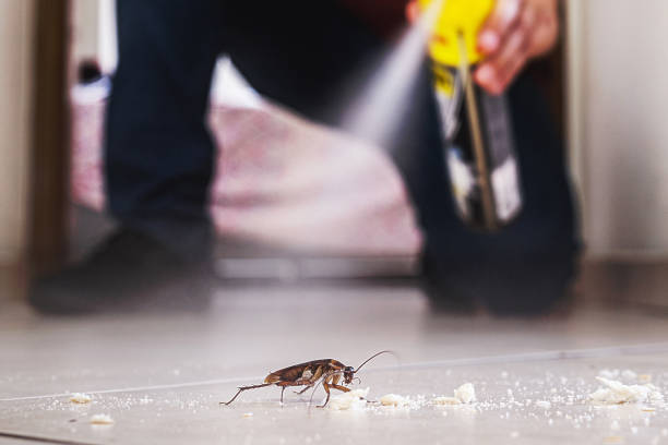 Best Best Pest Control Companies  in Sterling, CO